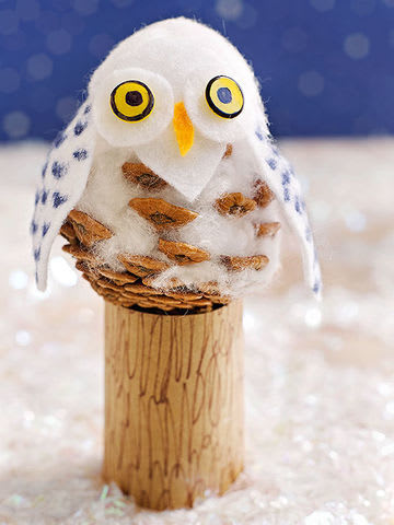 Pinecone Owl