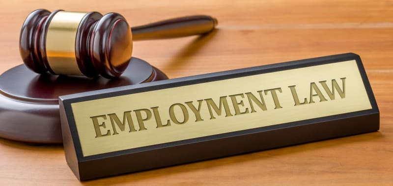 Best Employment Lawyer Auckland