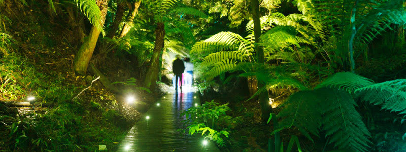 National Aust Botanic Gardens