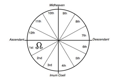 Once you've found where your North Node is located, look to see what house it is in. (Search "Astrology Houses" on Google Images to understand the house numbers)