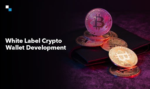 Get access to financial products via our white-label crypto wallet development solutions