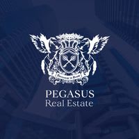 Pegasus Real Estate