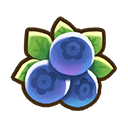 Blueberry