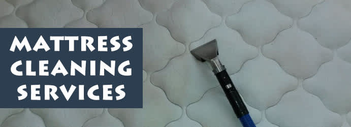 Squeaky Mattress Cleaning Adelaide