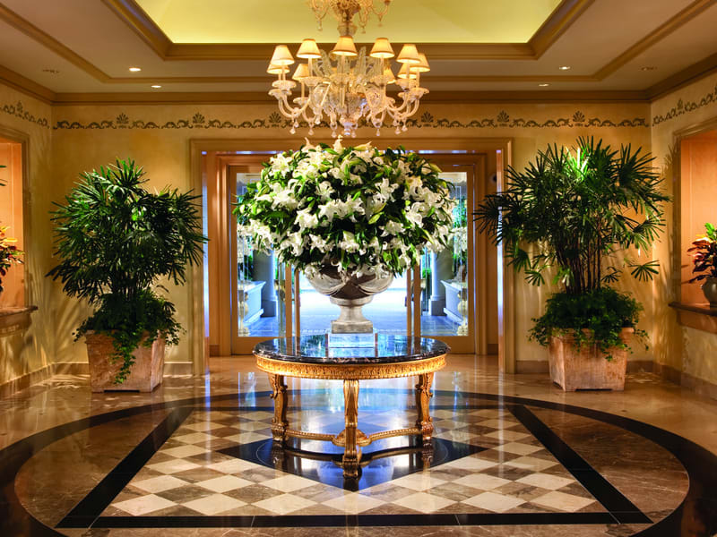 Inscape Indoor Plant Hire