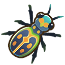 Tiger Beetle