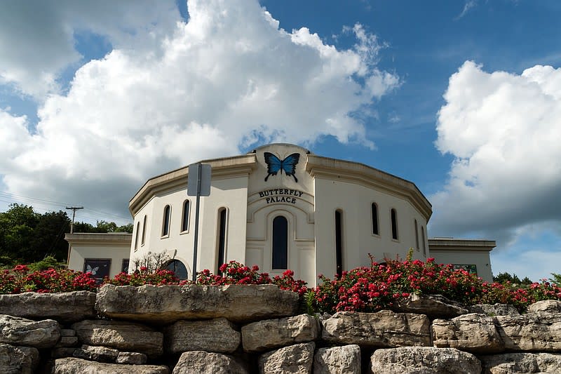 The Butterfly Palace and Rainforest Adventure