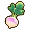 Turnip