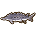 Sturgeon