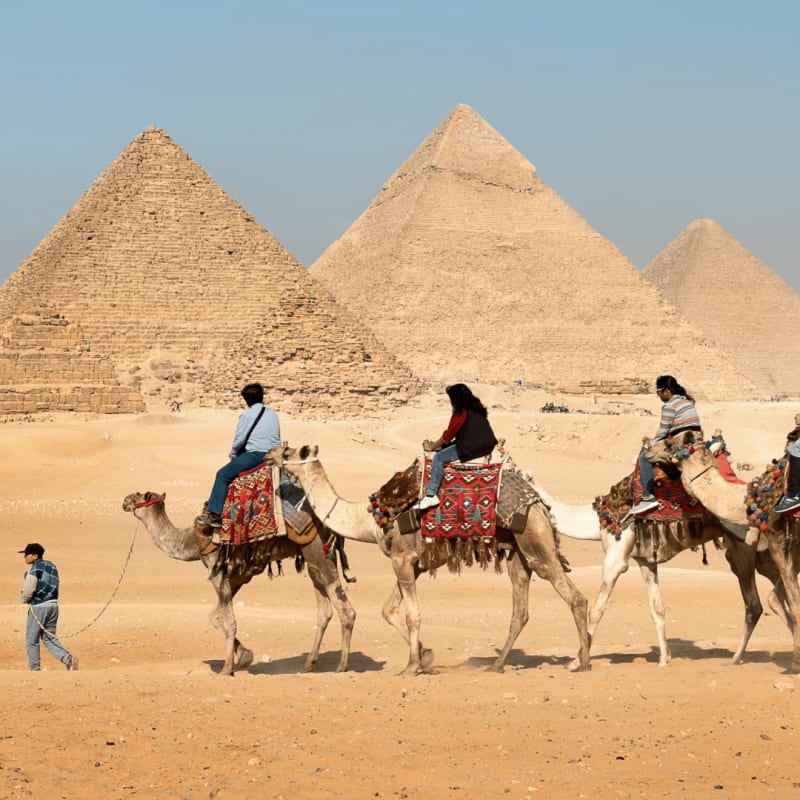 Camel Rides at the Giza Pyramids