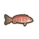 Banded Morwong