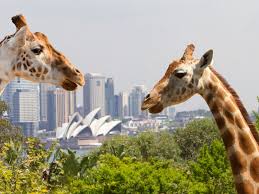 Taronga Zoo