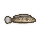 ブラックフィッシュ