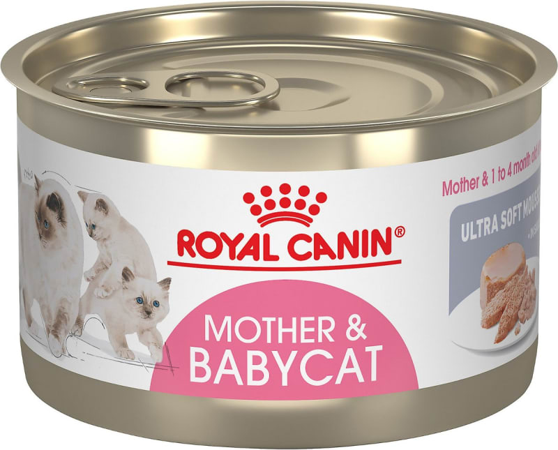 Royal Canin Mother & Babycat Ultra-Soft Mousse in Sauce Wet Cat Food for New Kittens & Nursing or Pregnant Mother Cats