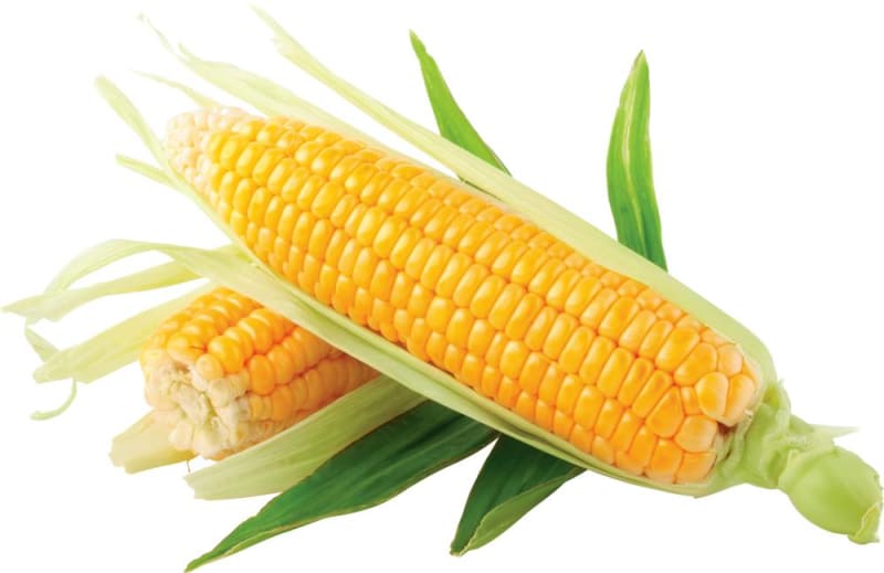 Corn