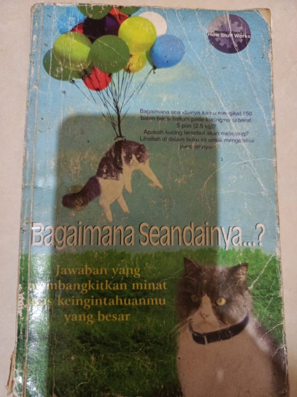 BAGAIMANA SEANDAINYA...?