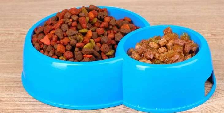 Food (canned and/or dry)