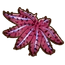 Crown-of-thorns Starfish
