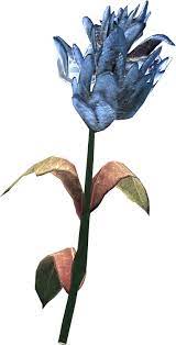 Blue Mountain Flower