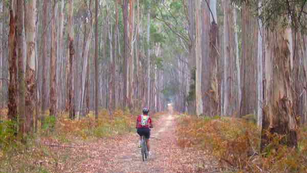 The Gold Fields Track