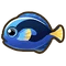 Blue Tang