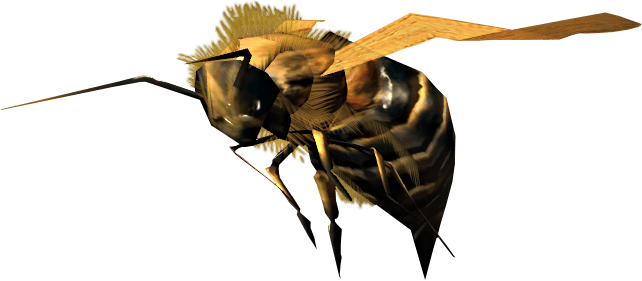 Bee