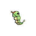 Caterpie