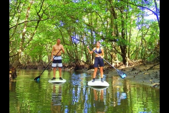Paddleboard (Iriomote Island)