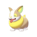 Yamper