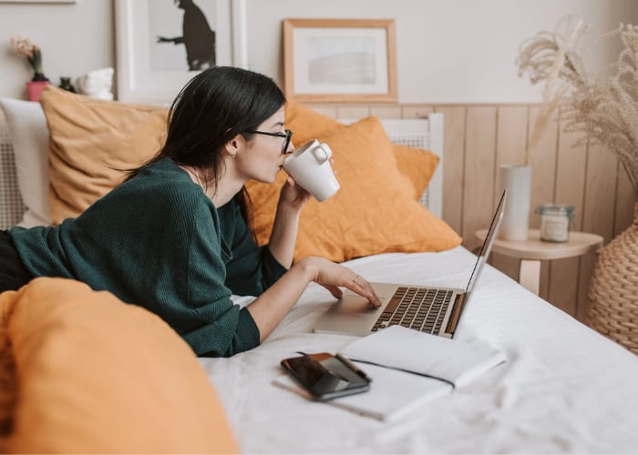 The main reasons for the success of online education