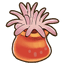 Sea Anemone