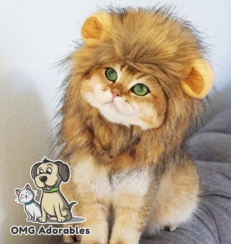 Lion Mane Costume for Cat
