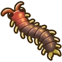 Centipede