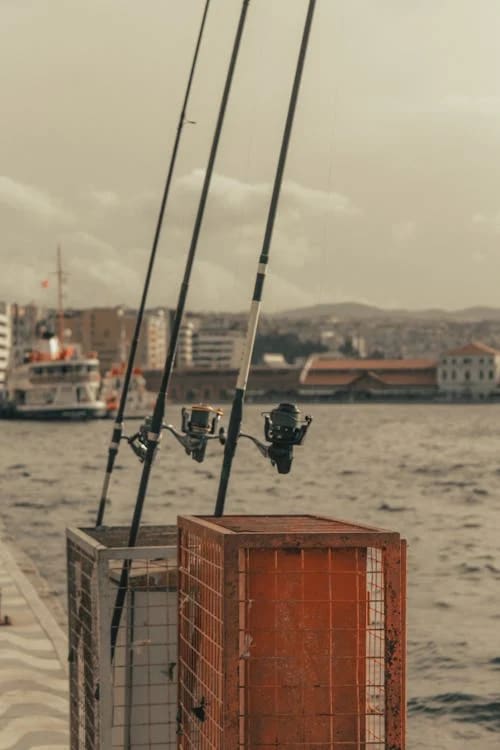 Best Fishing Rods for Deep Sea Fishing