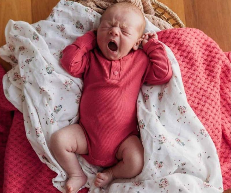 Snuggle Hunny Organic Bodysuit