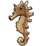 Jayakar's Seahorse