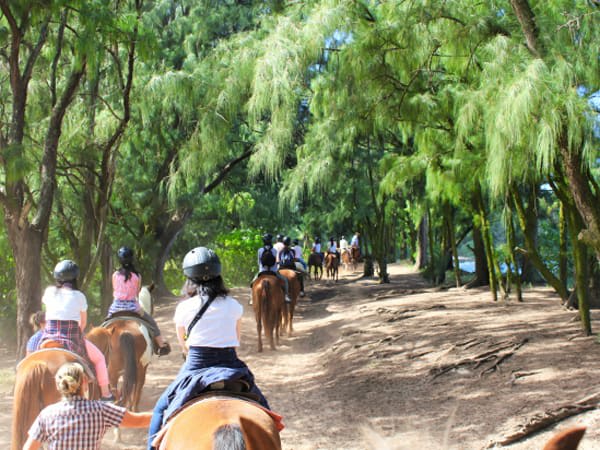 Oceanfront Horseback Beach Trail Ride