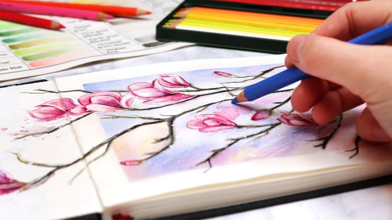 How To Use Watercolor Pencils (aka my favorite new way to make art!)  Watercolor  pencil art, Watercolor pencils techniques, Watercolor pencils