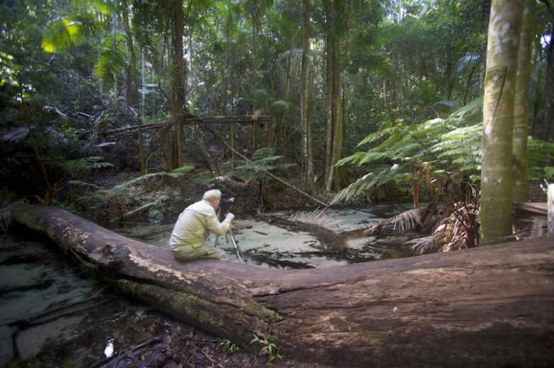 Fraser Island Great Walk