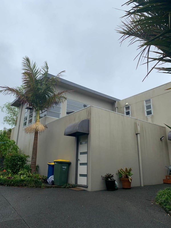 House Painters in Auckland
