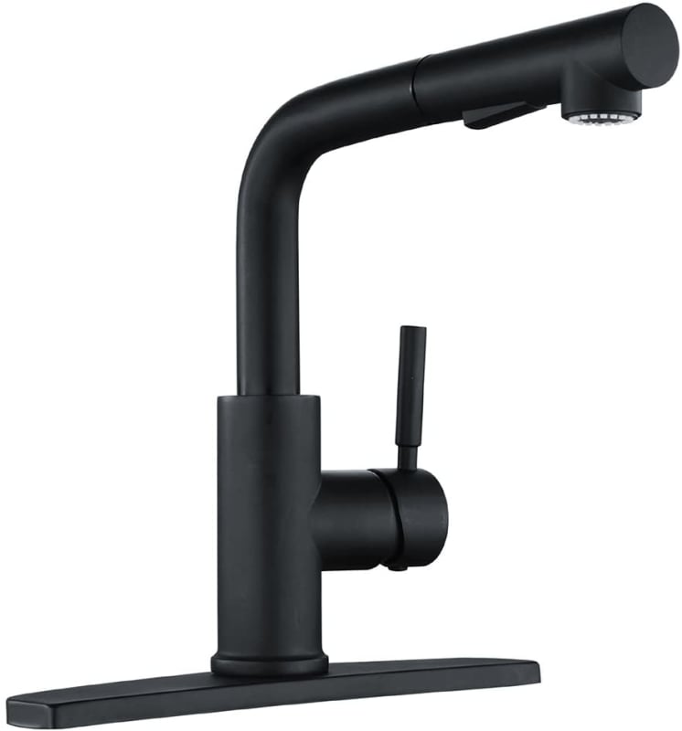 Matte Black Kitchen Sink Faucet with Pull Down