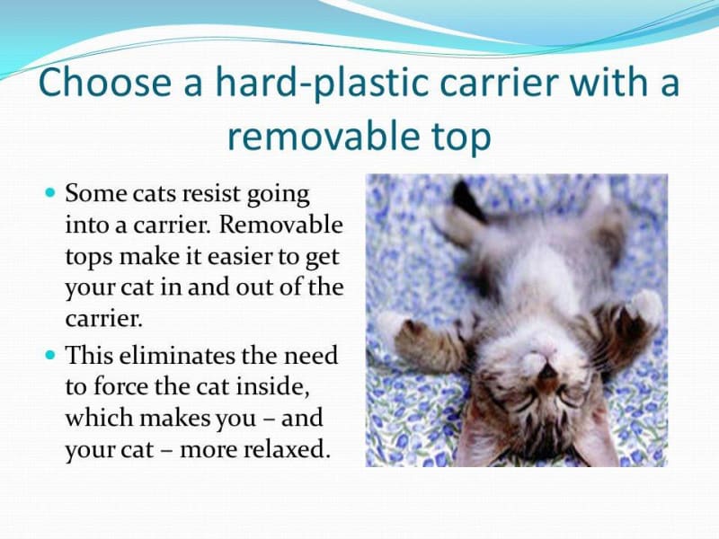 Hard plastic carrier