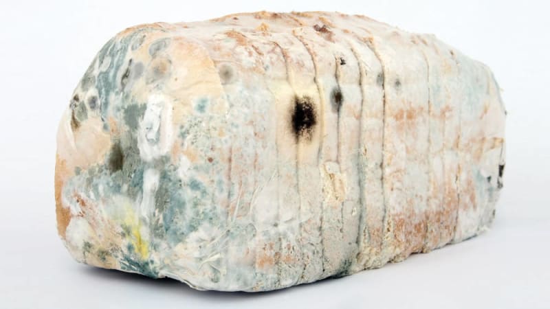 Mouldy food