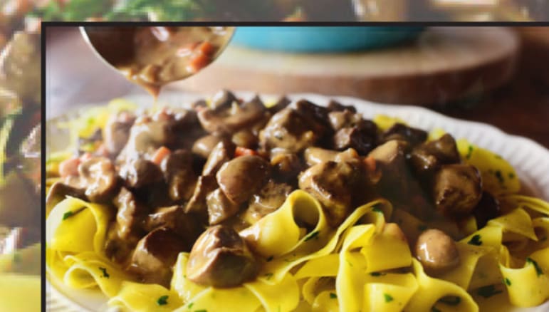 beef stroganoff pioneer