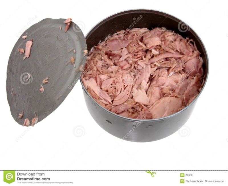 Tuna