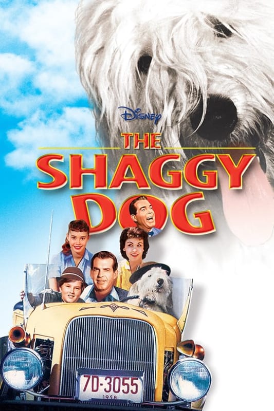 The Shaggy Dog