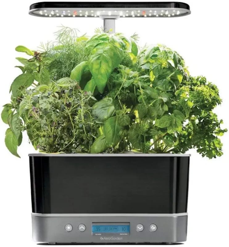Harvest Elite with Gourmet Herb Seed Pod Kit - Hydroponic Indoor Garden, Platinum Stainless