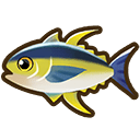 Yellowfin Tuna