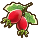 Rose Hip