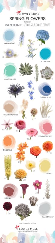 Research and order flowers for your bouquet and wedding decors. Sample flowers for spring: